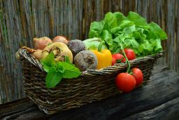 PUBLICADOS, HOY, LOS DATOS DE PRODUCCIÓN ECOLÓGICA DE 2021 EN LA WEB DEL MAPA  