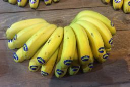 IMPULSADA POR LA ASOCIACIÓN DE PRODUCTORES ASPROCAN