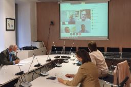Por videoconferencia