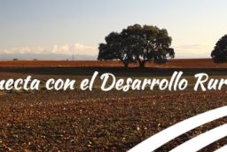 JORNADA VIRTUAL DE LA RED RURAL NACIONAL SOBRE LA VISIÓN A LARGO PLAZO PARA LAS ZONAS RURALES DE LA UE