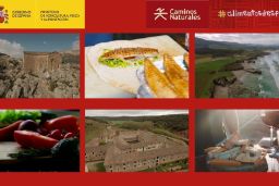 Del 19 al 23 de enero de 2022, en IFEMA Madrid 