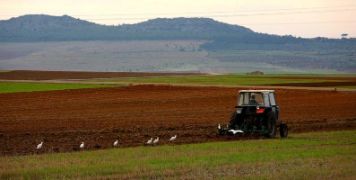 España solicitó a la Comisión Europea ampliar el plazo 
