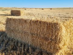 COORDINADOS POR EL MINISTERIO DE AGRICULTURA, PESCA Y ALIMENTACIÓN 