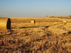LOS ANTICIPOS COMENZARÁN A ABONARSE A PARTIR DEL PRÓXIMO 16 DE OCTUBRE 