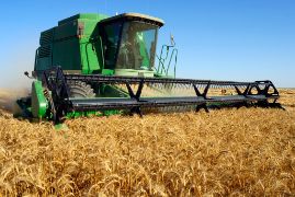 PROYECTO DE PRESUPUESTO PARA EL MINISTERIO DE AGRICULTURA, PESCA Y ALIMENTACIÓN