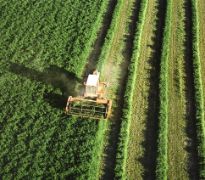 En el ámbito del Plan Estratégico de la Política Agraria Común  