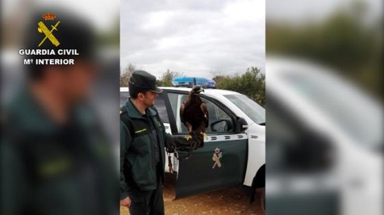 Operación Thunderbird llevada a cabo por el SEPRONA de la Guardia Civil, coordinada por INTERPOL, durante los días 17 al 30 de febrero del año en...