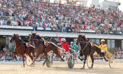 Autor: INFOTROT.<br/>Año: 2006.<br/>Comentario: llegada del Gran Premio Nacional. La vencedora, con el nº 2 fue "MIRA PRIM". El GPN es...