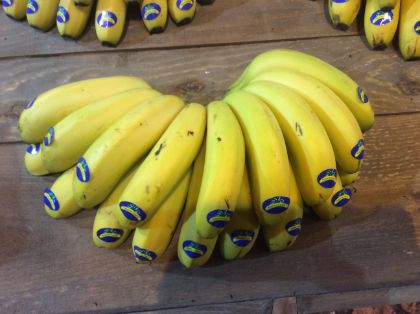 IMPULSADA POR LA ASOCIACIÓN DE PRODUCTORES ASPROCAN