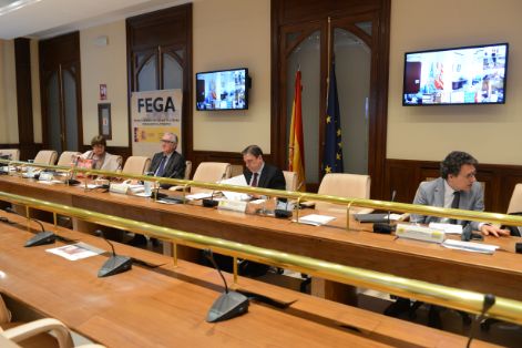 CONSEJO CONSULTIVO DE POLÍTICA AGRÍCOLA Y PESQUERA, REUNIÓN CON LAS CCAA PREVIA AL CONSEJO DE MINISTROS DE AGRICULTURA DE LA UE