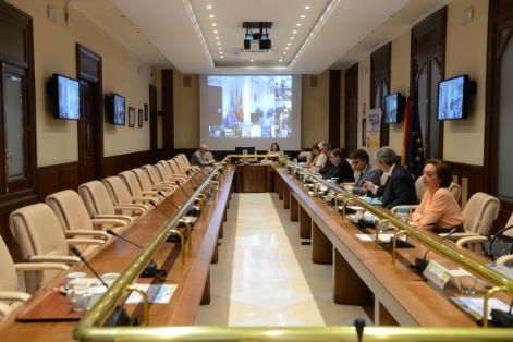 CONSEJO CONSULTIVO DE POLÍTICA AGRÍCOLA Y PESQUERA, REUNIÓN CON LAS CCAA PREVIA AL CONSEJO DE MINISTROS DE AGRICULTURA DE LA UE