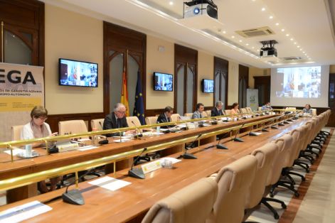CONSEJO CONSULTIVO DE POLÍTICA AGRÍCOLA Y PESQUERA, REUNIÓN CON LAS CCAA PREVIA AL CONSEJO DE MINISTROS DE AGRICULTURA DE LA UE