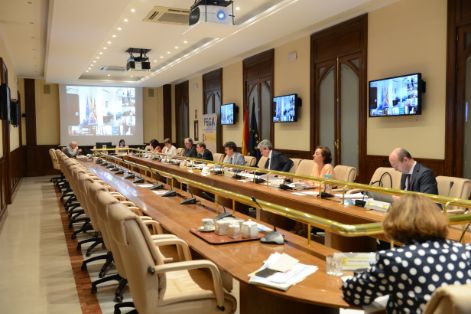 CONSEJO CONSULTIVO DE POLÍTICA AGRÍCOLA Y PESQUERA, REUNIÓN CON LAS CCAA PREVIA AL CONSEJO DE MINISTROS DE AGRICULTURA DE LA UE