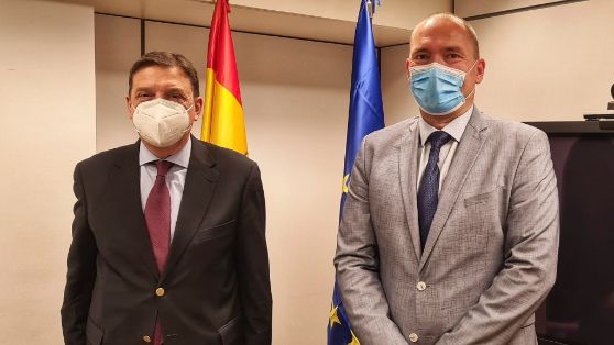 HOY, EN BRUSELAS 