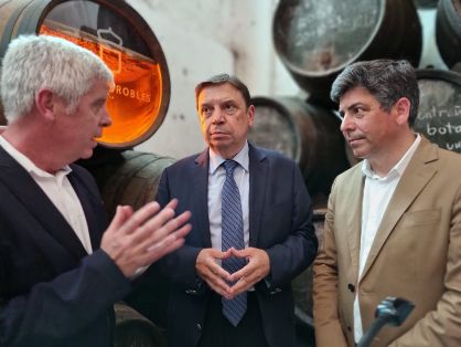 HOY, EN MONTILLA
