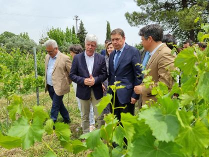 HOY, EN MONTILLA