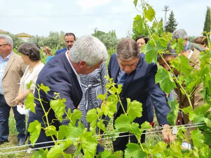 HOY, EN MONTILLA