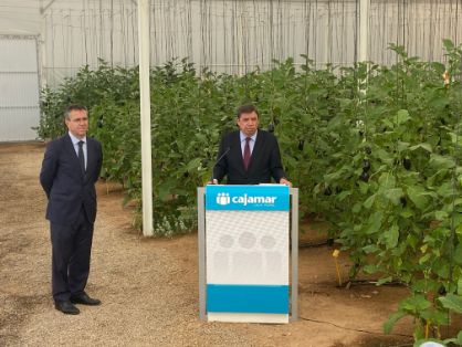 Hoy, en El Ejido   