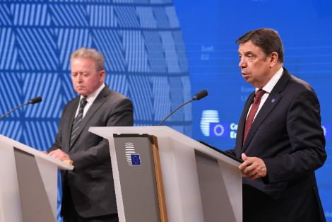 Hoy, en Bruselas