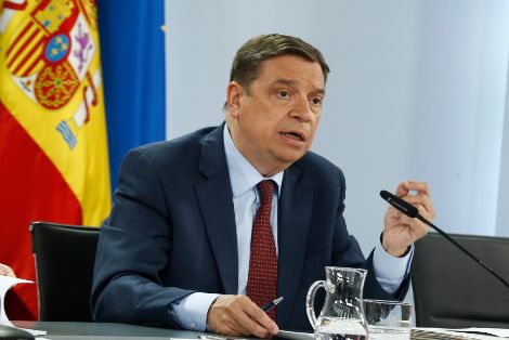 Hoy, en Consejo de Ministros