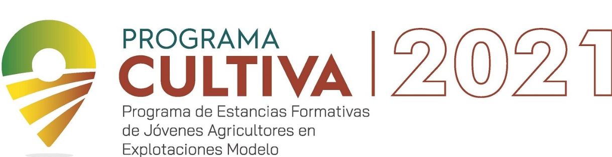 ENTRE EL 6 Y EL 20 DE OCTUBRE    
