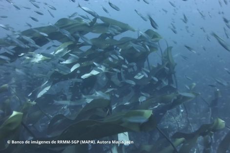 Espacio protegido gestionado por el Ministerio de Agricultura, Pesca y Alimentación 