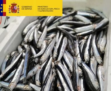 Con una cuota de 718 toneladas frente a las 27,2 toneladas del año anterior