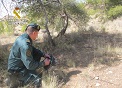 La Guardia Civil ha desarrollado la operación ‘MALAMUTE’, dirigida a esclarecer las lesiones producidas por disparos de arma de fuego, a un perro...
