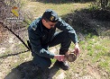 Operación ANTITOX: Operación de la Guardia Civil contra la utilización de cebos envenenados y trampas ilegales de caza. Los agentes han hallado...