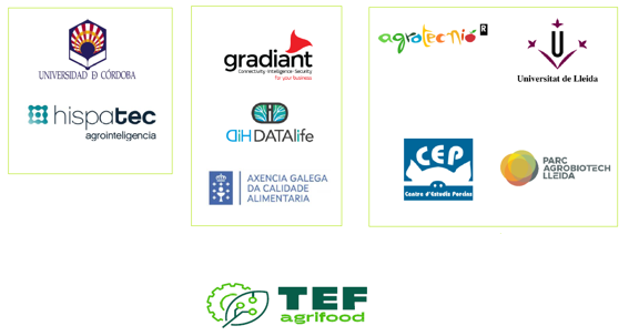Consorcio TEF