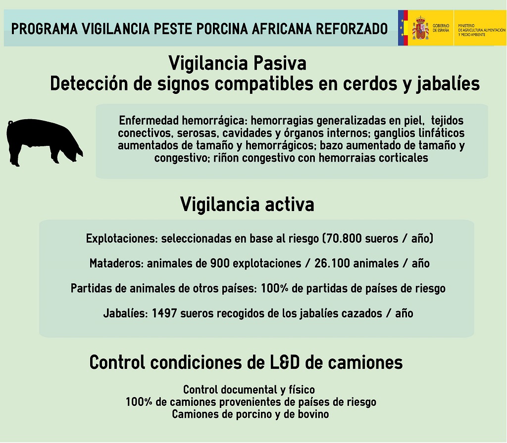 Componentes del programa reforzado en 2014