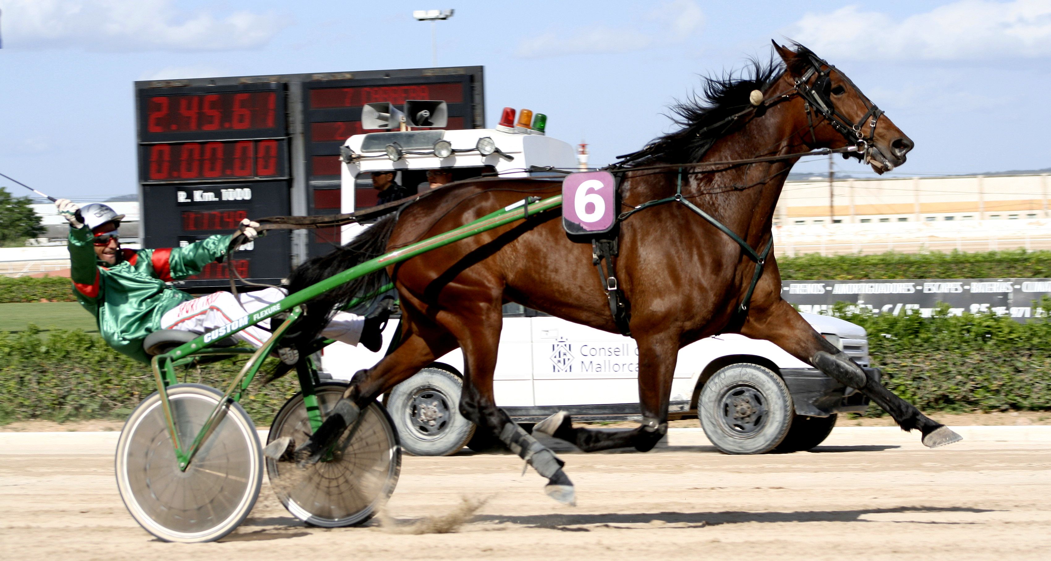 Autor: INFOTROT.<br/>Año: 2010.<br/>Sexo: Hembra.<br/>Comentario: “Omni Maker SB” es la yegua que ostenta el record absoluto de velocidad, 1.11.9...